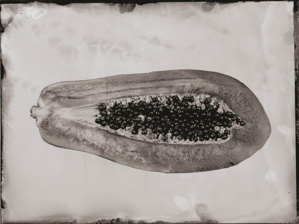 Marcin Seweryn Andrzejewski | Wet Plate Collodion