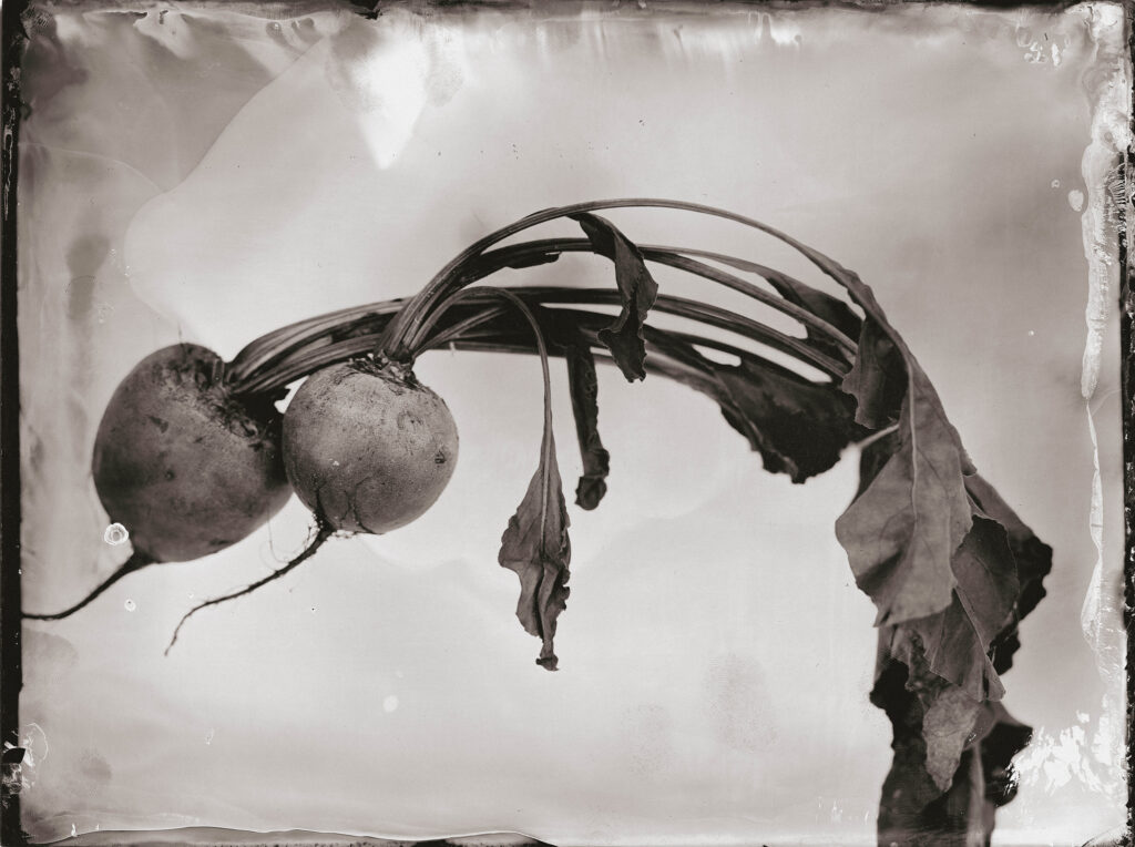 Marcin Seweryn Andrzejewski | Wet Plate Collodion