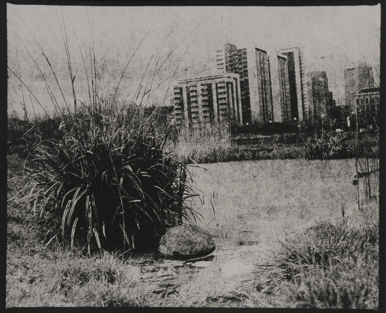 Shangri La 06