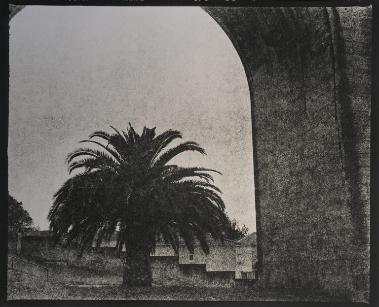 Shangri La 12