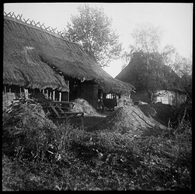 Niedźwiecki – Polska 051