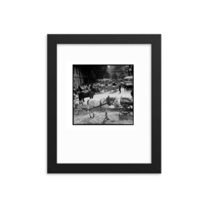 Niedz Pol 090 framed.jpg