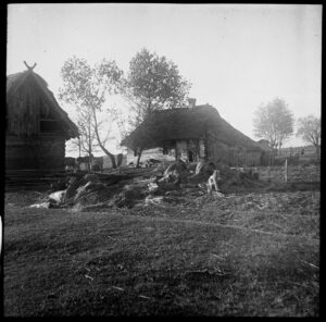 Niedz Pol 140 800.jpg