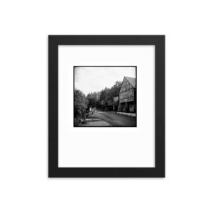 Niedz Pol 159 framed.jpg