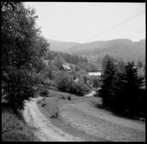 Niedz Pol 183 800.jpg